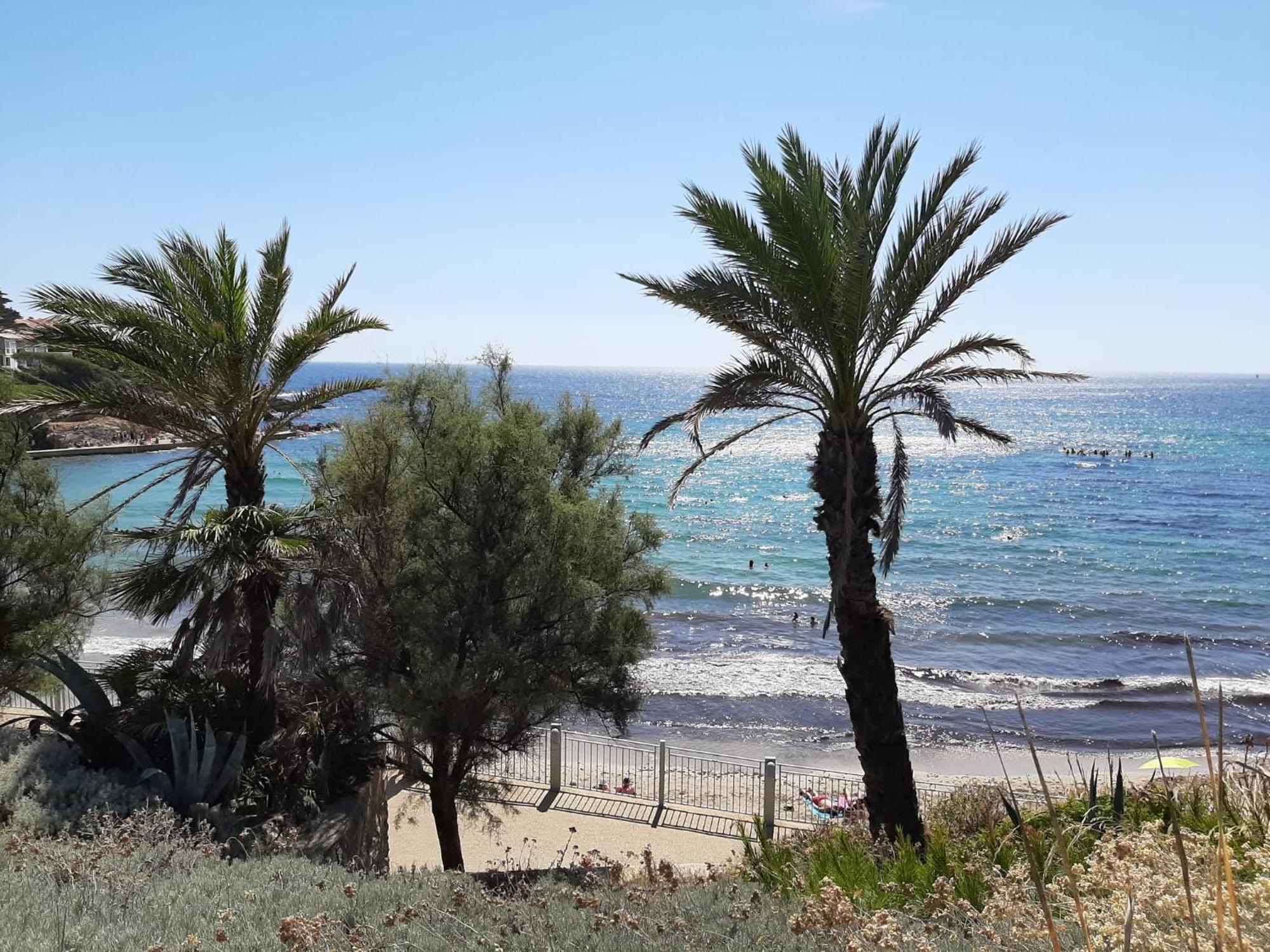 Sanary- La Vie Est Belle- Centre Ville 2 Minutes A Pied- Plage 5 Minutes Sanary-sur-Mer Exterior foto